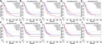 A New Risk Model Based on 7 Quercetin-Related Target Genes for Predicting the Prognosis of Patients With Lung Adenocarcinoma